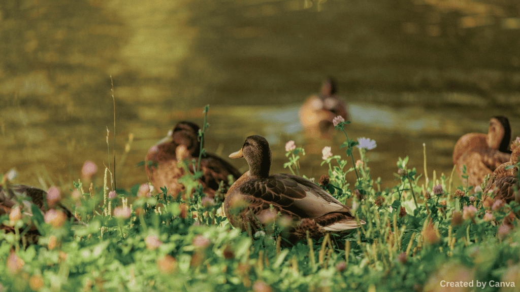 Keeping the environment safe