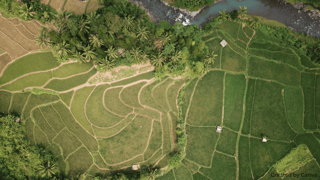 Public Land Policy and Regulations