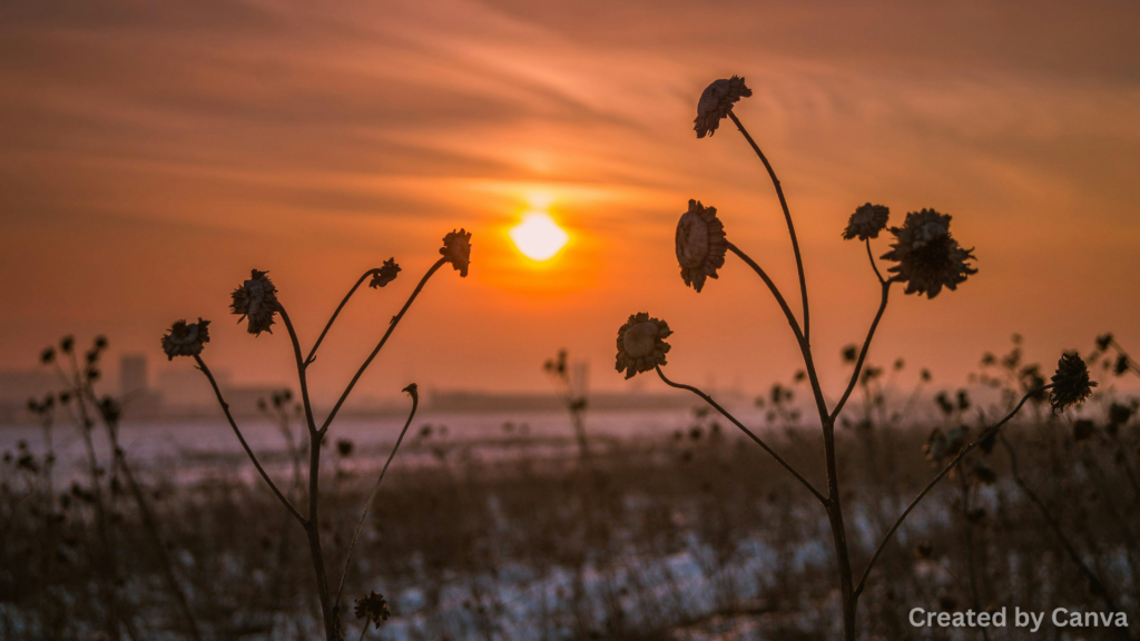 Growth That Will Last for Years to Come