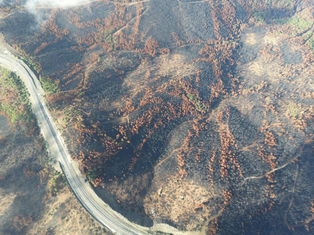 Map highlighting wildfire-prone areas and prevention efforts — Paul For Nevada climate change policies