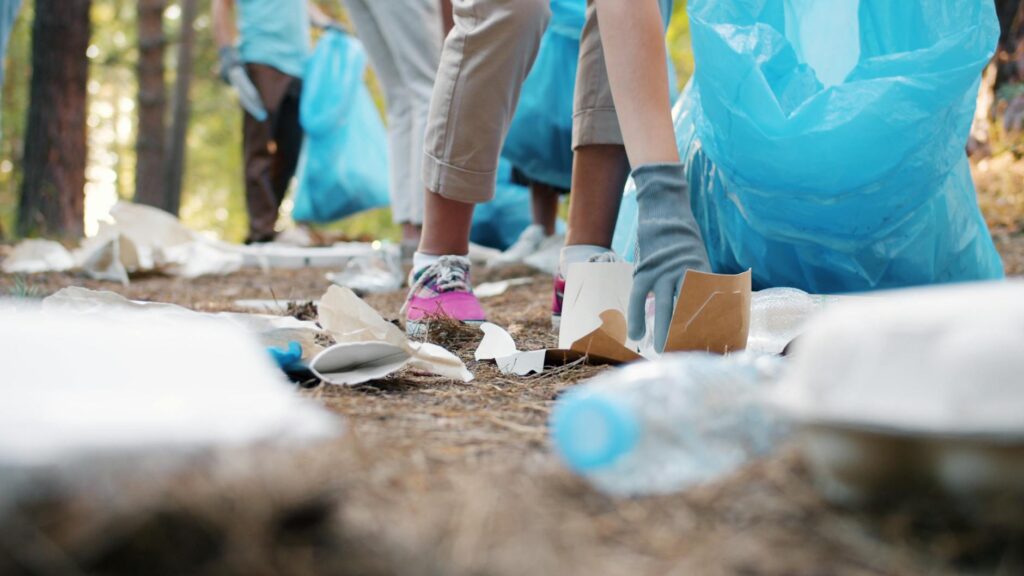 Paul For Nevada environmental initiatives