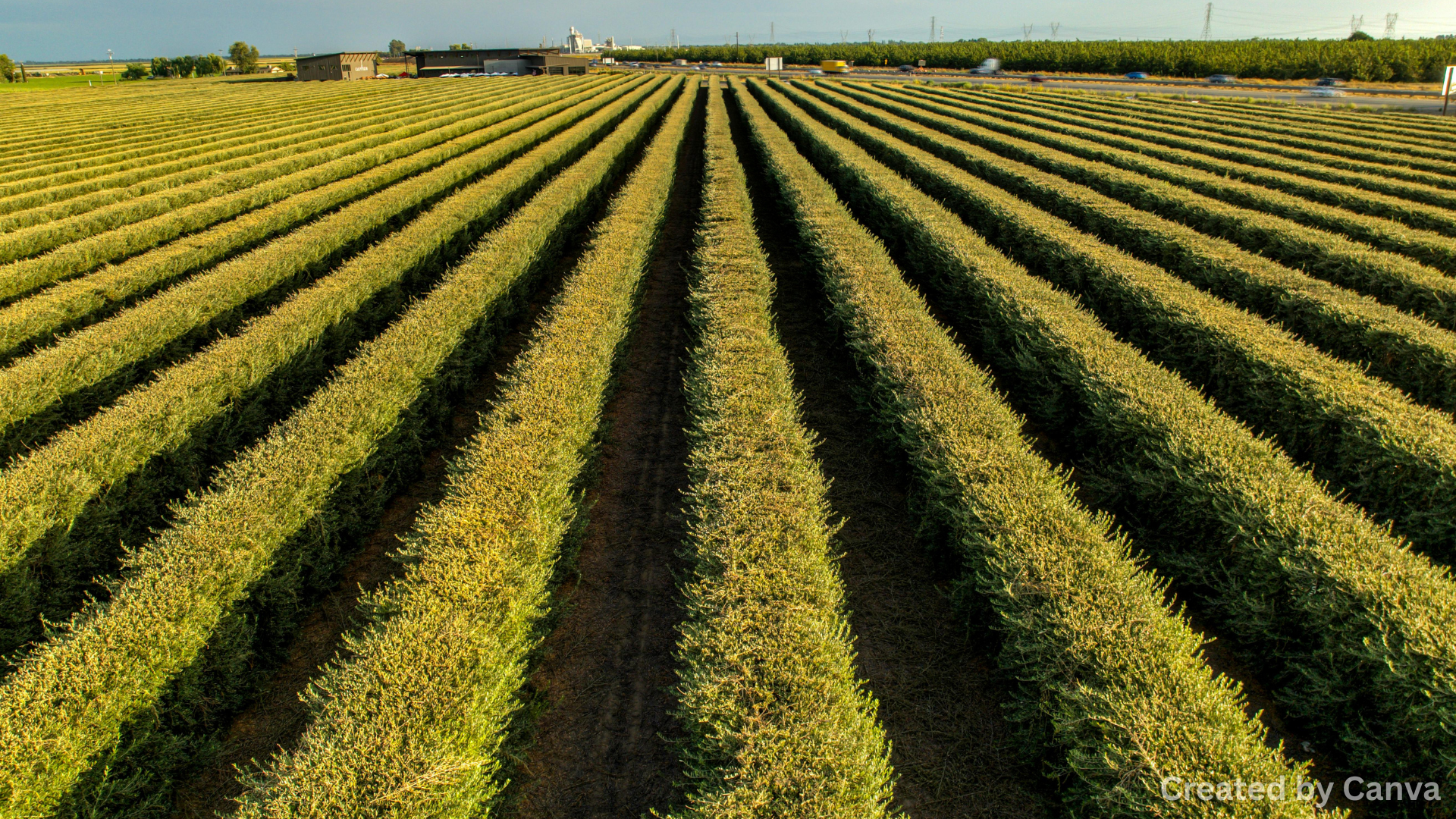 The Role of Energy in Enhancing Nevada’s Agricultural Growth