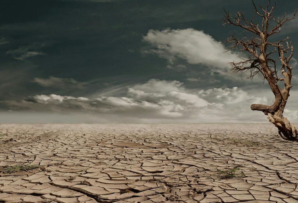 A chart illustrating the projected impact of climate change in Nevada. — Paul For Nevada climate change policy