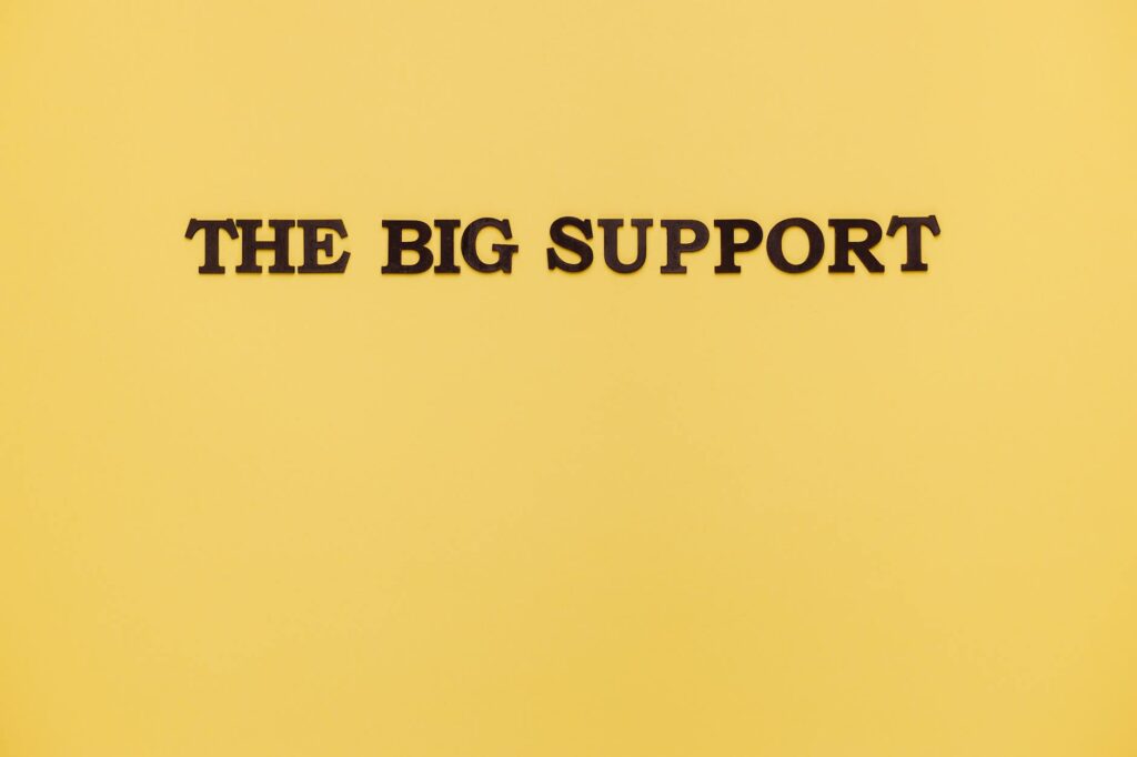 A graphic illustrating how to donate to Paul's campaign, encouraging supporters to support Paul For Nevada