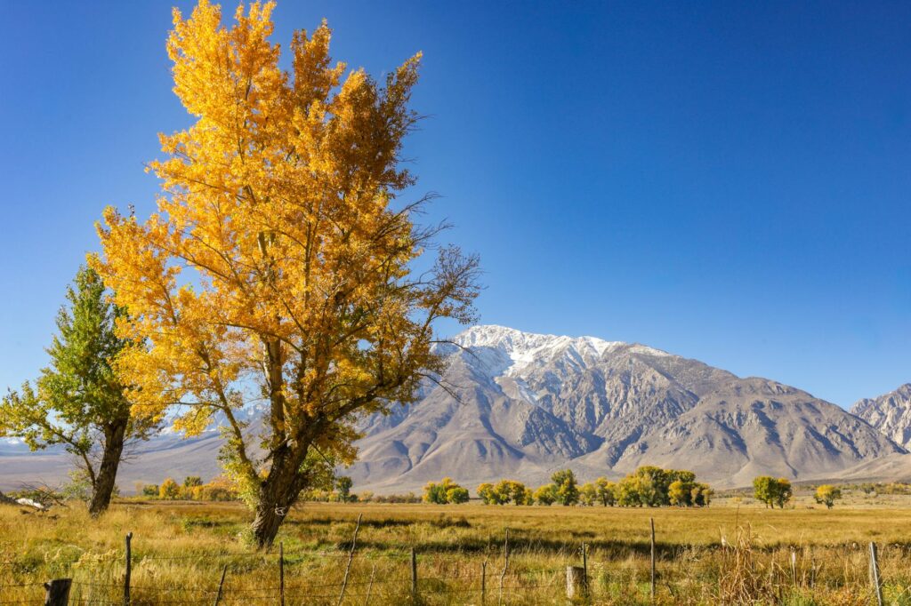 A scenic view of Nevada illustrating the impact of climate change on the environment. — Paul For Nevada climate change