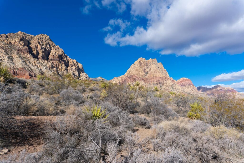 A scenic view of Nevada's natural landscapes, emphasizing the importance of conservation efforts. — Paul For Nevada envi…