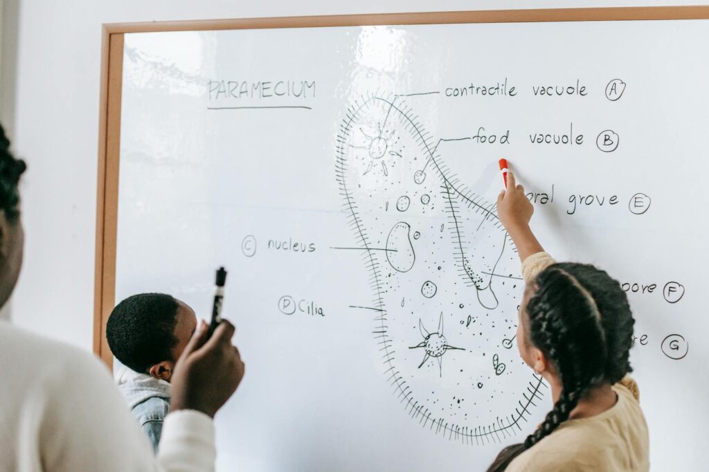 A visual representation of the goals for education policies by 2026 — Paul For Nevada education reform
