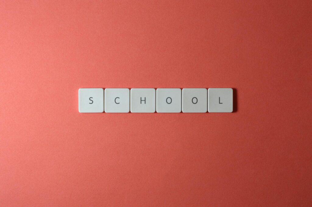 A visual representation of the key features of Paul For Nevada education policies.
