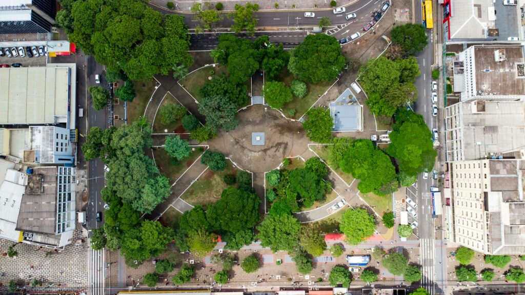 Before and after photos of a revitalized local park due to community initiatives — Paul For Nevada community impact