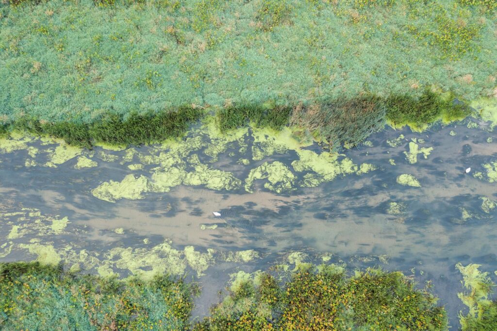 Local wildlife and natural habitats affected by climate change — Paul For Nevada climate change