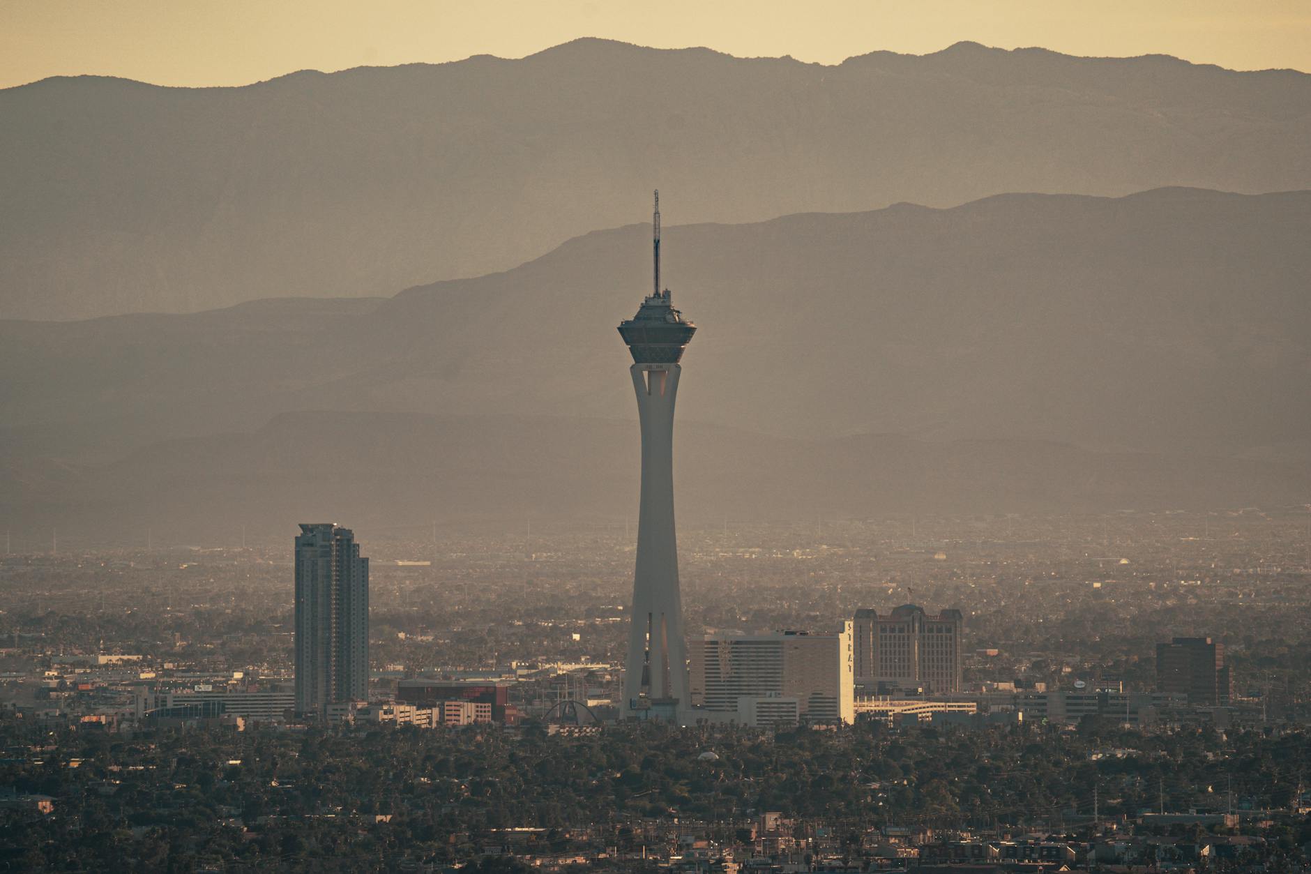 Paul For Nevada comparison