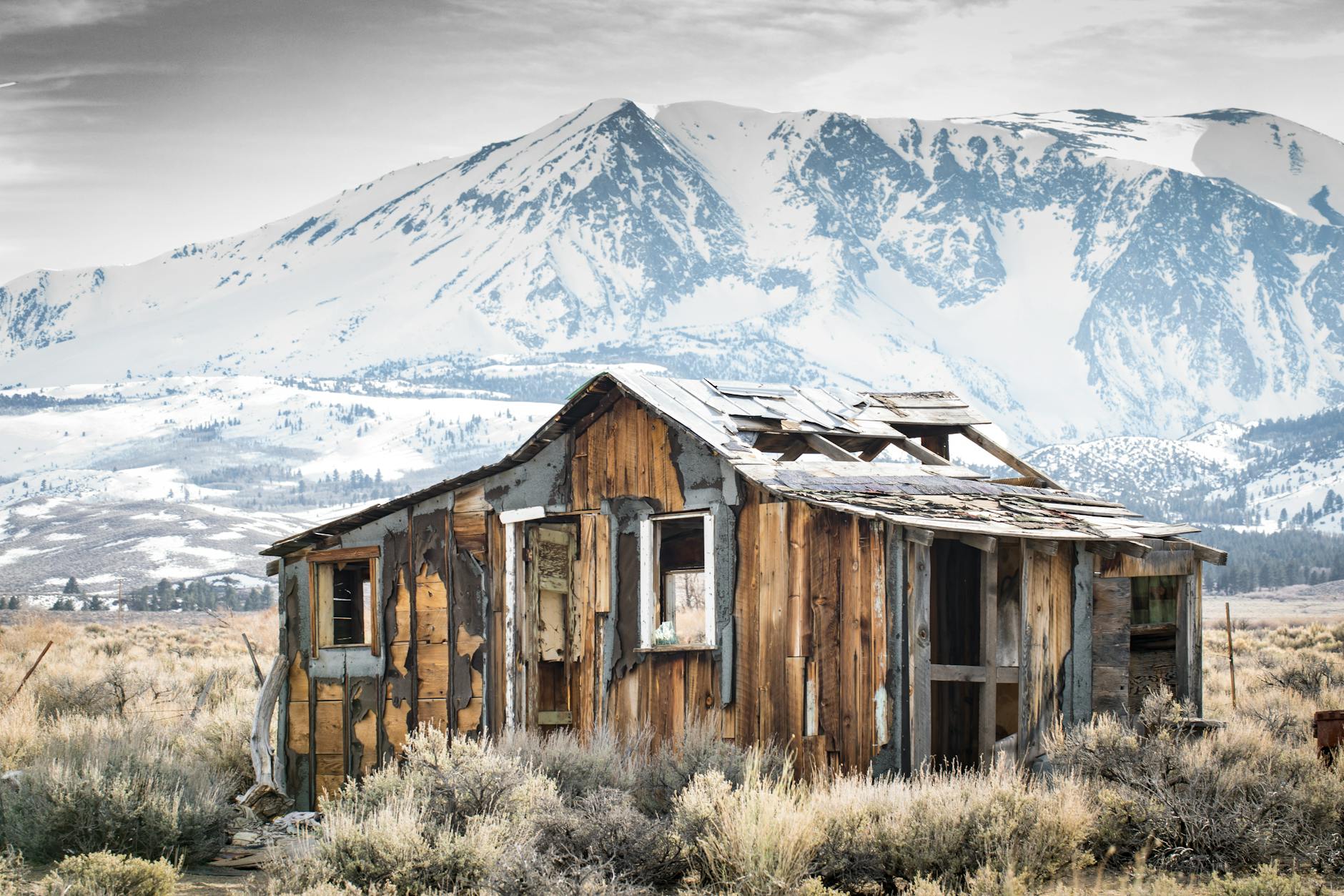 Paul For Nevada housing crisis