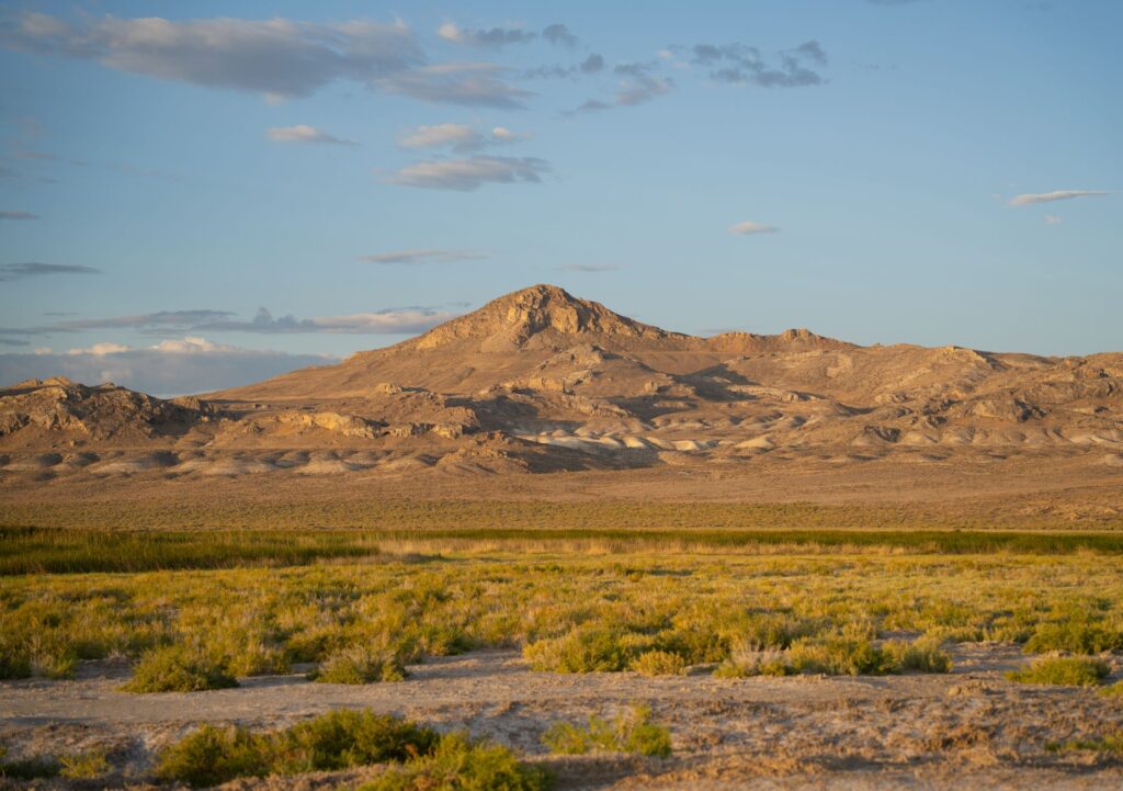 A beautiful landscape of Nevada showcasing its natural beauty and biodiversity. — Paul For Nevada environmental policies