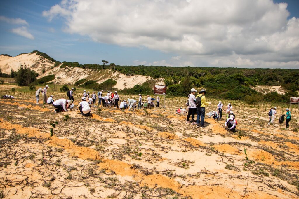 A group of volunteers participating in a tree-planting initiative. — Paul For Nevada environmental policies