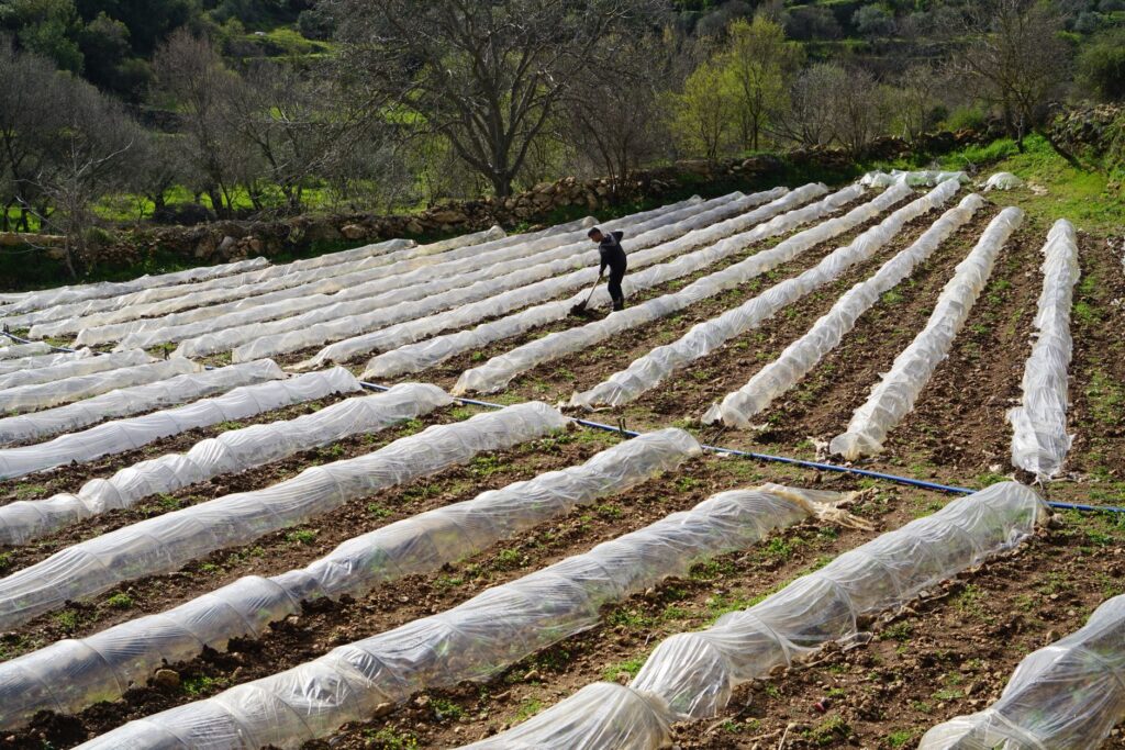 A local farmer using sustainable practices to protect the environment. — Paul For Nevada environmental policies