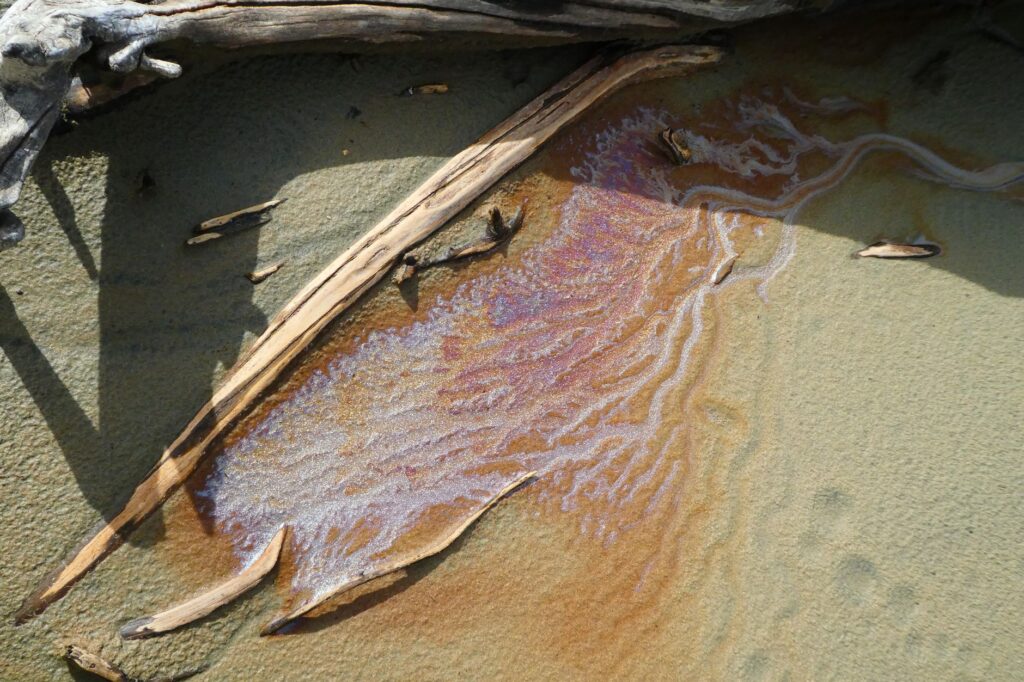 A photo showing an oil spill's impact on marine life and coastal ecosystems. — oil and gas environmental impact
