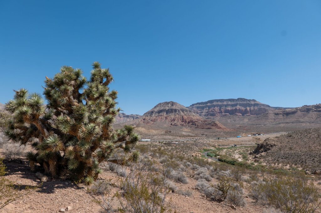 Photograph of Nevada landscapes highlighting areas that could benefit from economic growth initiatives. — Paul For Nevad…