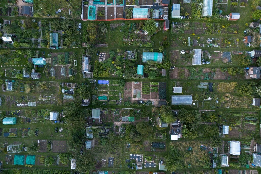 A community garden as part of green infrastructure efforts. — Paul For Nevada climate change policy
