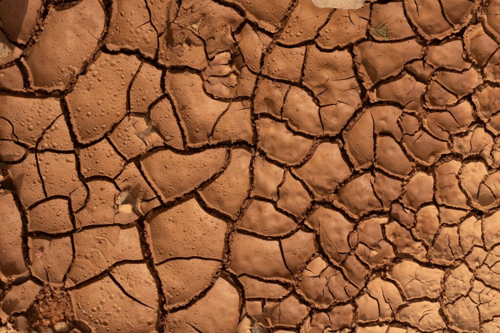 A visual representation of climate change impact on Nevada's ecosystems. — Paul For Nevada environmental policies