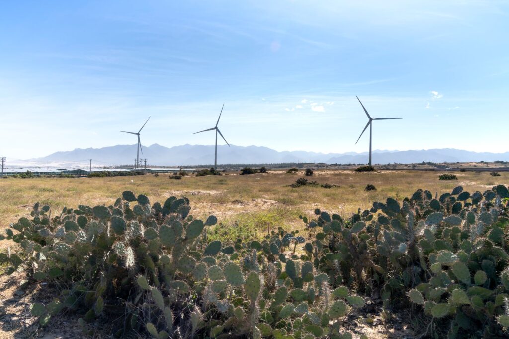 A chart showing the growth of renewable energy sources in Nevada — Paul For Nevada renewable energy