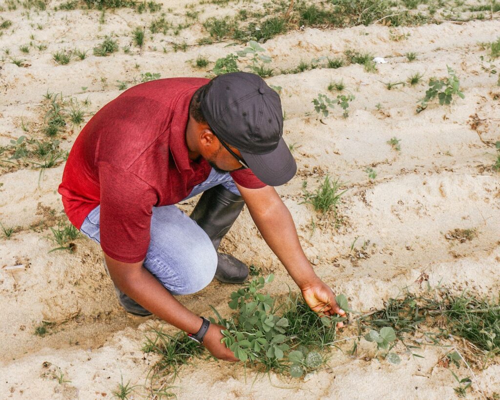 A farmer practicing sustainable agriculture in Nevada. — Paul For Nevada environmental policies