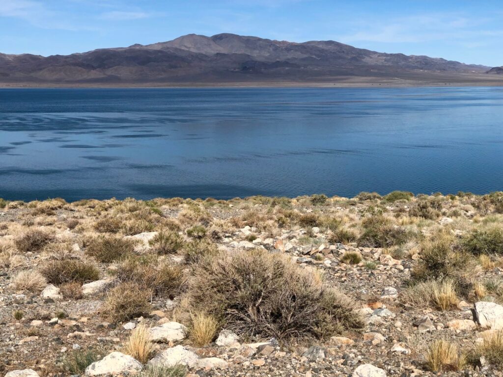 A graphic representation of Nevada's water conservation efforts, reflecting the commitment of Paul For Nevada environmental policies.