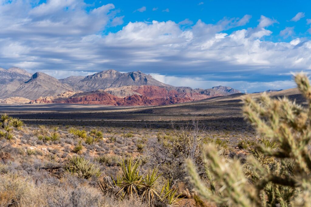 A picturesque view of Nevada's desert landscape affected by climate change. — Paul For Nevada climate change