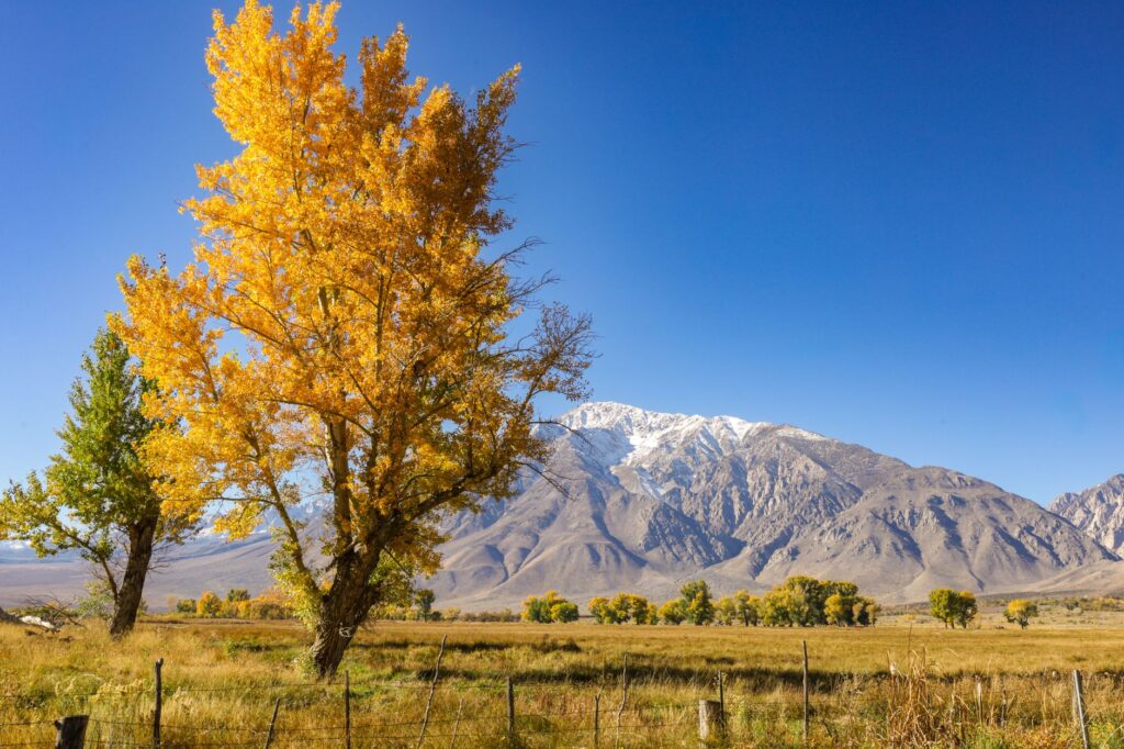 A scenic view of Nevada highlighting the natural landscape affected by climate change. — Paul For Nevada climate change