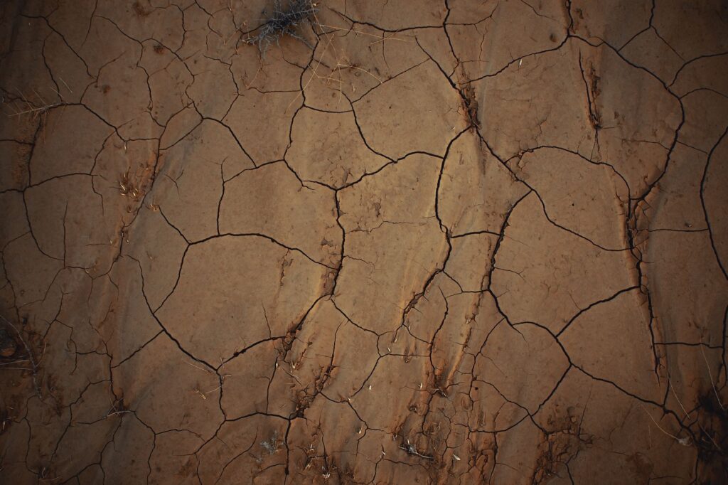 A visual representation of the effects of climate change on Nevada's ecosystems. — Paul For Nevada environmental policies