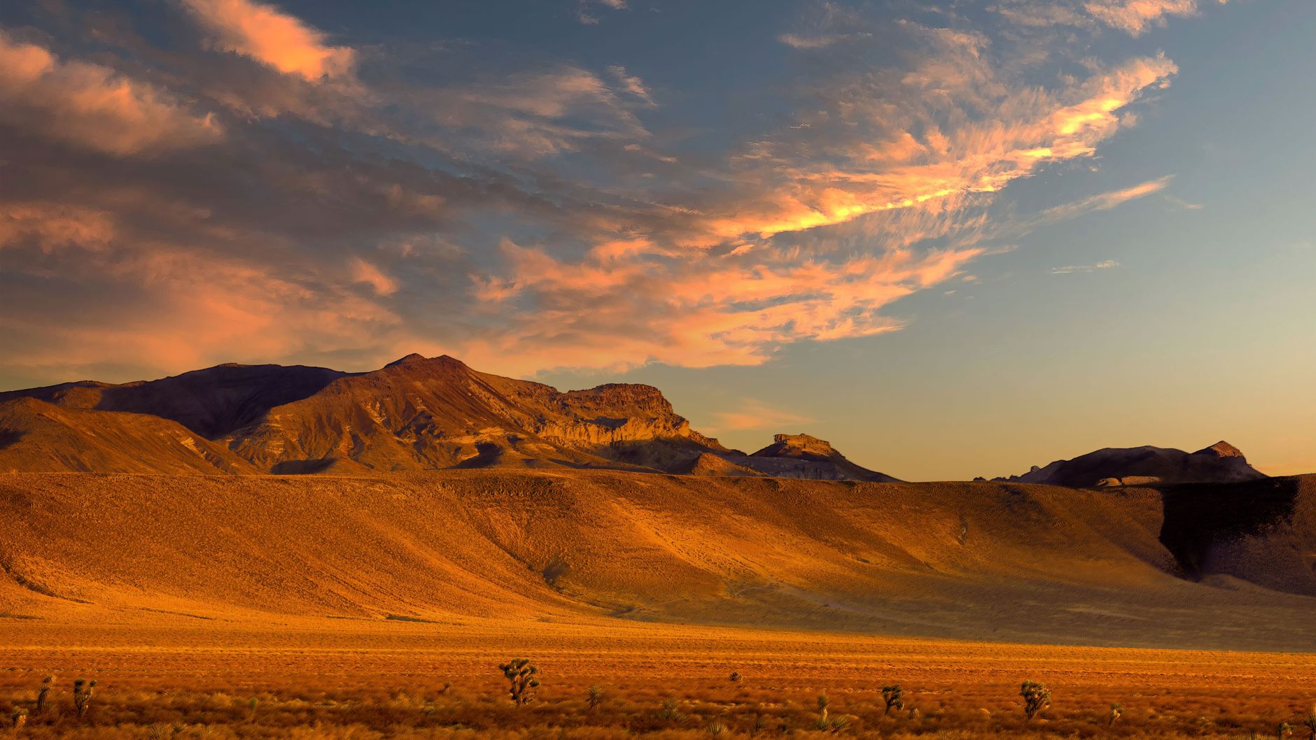Paul For Nevada background