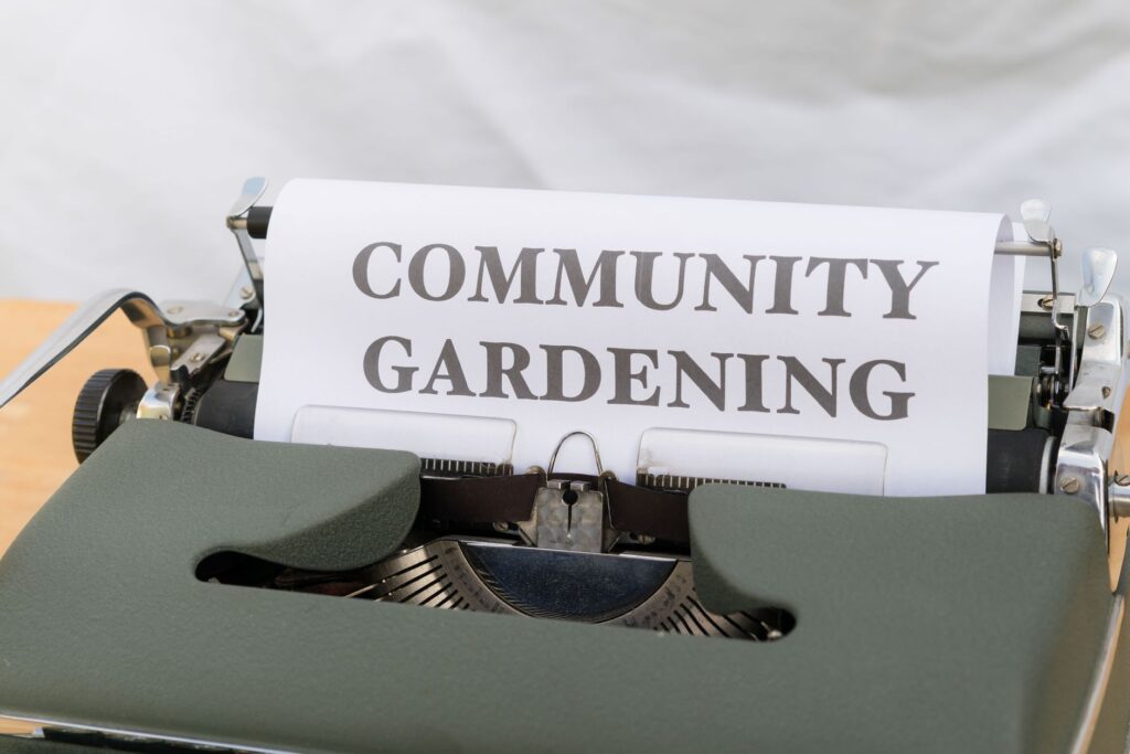 A community garden in Nevada as an example of local sustainability efforts. — Paul For Nevada environmental policies
