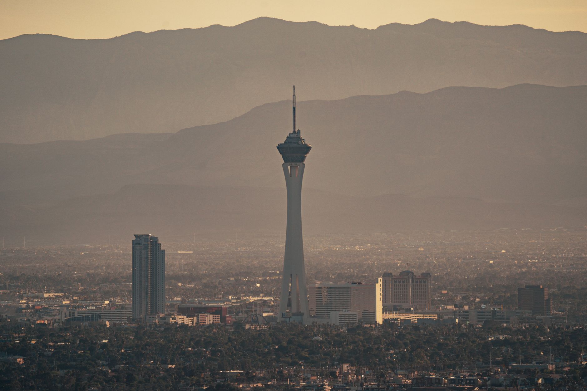 Paul For Nevada comparison